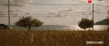 a video of a field with trees and the words terbaik ke langit on it
