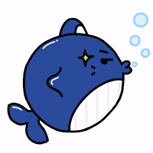 cat whale cute blue sulk