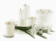 Candle Flowers GIF - Candle Flowers Flame GIFs