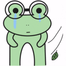 frog glasses green doodle sorrow