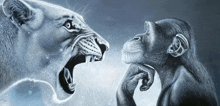a lion and a chimpanzee are standing next to each other .