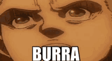 Burra GIF - Burra GIFs