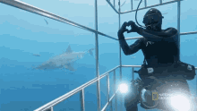 Heart Hands Most Wanted Sharks GIF