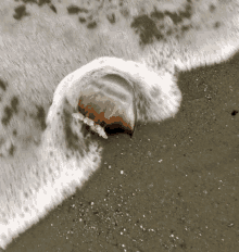Jellyfish Dead GIF - Jellyfish Dead Sea GIFs
