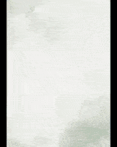 a white background with green leaves on the right
