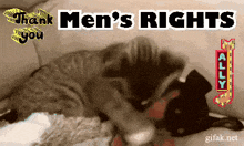 a picture of a cat with the words " thank men 's rights " on it