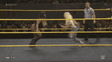 two women are wrestling in a wrestling ring with a wwe logo on the bottom
