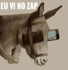 Bolsominion Burro Donkey Bolsonaro Stf Whatsapp Zap Tia Do Zap GIF - Bolsominion Burro Donkey Bolsonaro Stf Whatsapp Zap Tia Do Zap GIFs