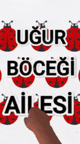 a ladybug sticker that says " ugur bocegi ailesi "