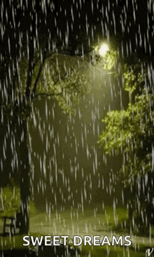 Rain Lights GIF