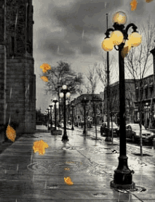 Autumn Rain GIFs | Tenor