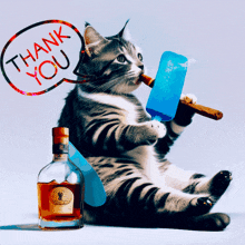 Thank You Cat GIF