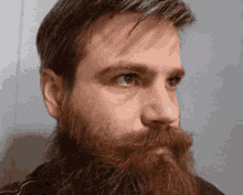 Suspicious Beard GIF