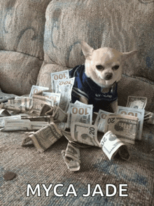 a dog is sitting on a pile of money with the name myca jade written on the bottom