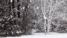 It'S Snowing <3 GIF