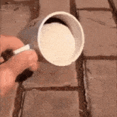 This Coffee Wont Spill Guinea Pig GIF - This Coffee Wont Spill Coffee Spill GIFs