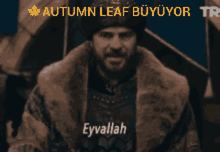 Autumn Leaf GIF - Autumn Leaf GIFs