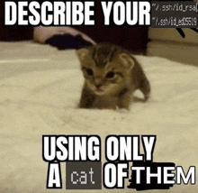 a picture of a kitten with the words describe your using only a cat of them below it