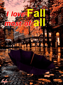 I Love Fall GIF - I Love Fall GIFs