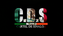 Cds Flag GIF