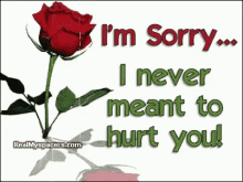 Im Sorry Rose I Never Meant To Hurt You GIF - Im Sorry Rose I Never Meant To Hurt You GIFs