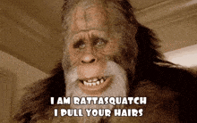 a picture of a bigfoot with the words i am rattasquatch i pull your hairs