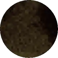 a pixelated image of a dark brown circle