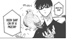 a man is holding a pigeon in his hand .