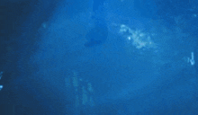 a jellyfish is floating in the water near a large flower