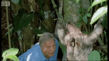 David Attenborough Scares A Sloth GIF