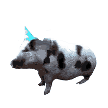 bacon schnitzel schwein cute pig happy pig