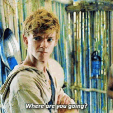 Where Are You Going Newt GIF - Where Are You Going Newt Thomas Sangster GIFs