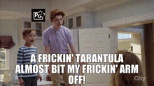 The Mick Chip GIF - The Mick Chip Tarantula Spider GIFs
