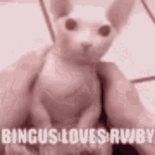 Rwby Bingus GIF - Rwby Bingus Love GIFs