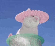 GIF