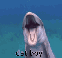Dat Boy Dolphin GIF - Dat Boy Dolphin That Boy GIFs