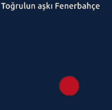 Togrul GIF - Togrul GIFs