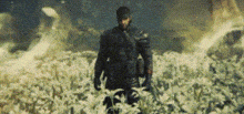 a man is standing in a field of flowers .