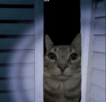 a cat peeking out of a doorway with the time of 3 am