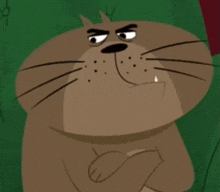 Kitty Is Not A Cat Crossed Arms GIF - Kitty Is Not A Cat Crossed Arms GIFs