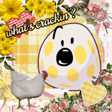 a picture of a chicken and an egg that says what 's crackin