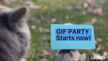 Aidan Gallagher Gif Party GIF - Aidan Gallagher Gif Party Starts Now GIFs