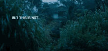 But This Is Not A Military Operation Forest GIF - But This Is Not A Military Operation Forest Jungle GIFs