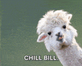 Chill Chill Out GIF - Chill Chill Out Relax GIFs