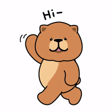 animal bear cute hi hello