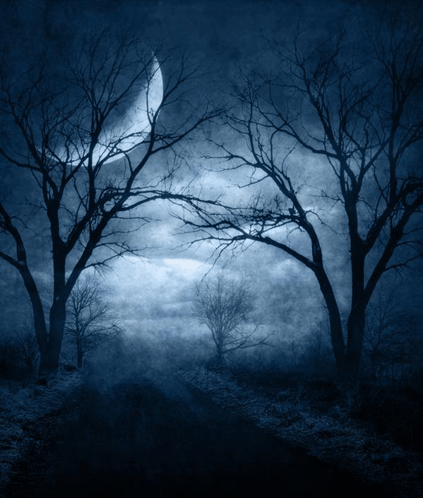 Gothic Night GIF - Gothic Night Moon - Discover & Share GIFs