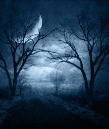 Gothic Night GIF - Gothic Night Moon GIFs