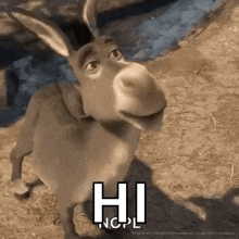 a donkey from shrek is standing in the dirt and smiling at the camera .