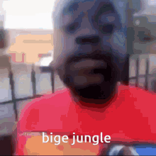 Bige Bige Jungle GIF