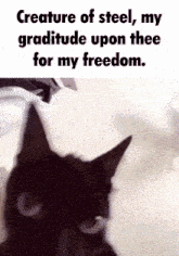 Creature Of Steel My Gratitude Upon Thee For My Freedom GIF - Creature Of Steel My Gratitude Upon Thee For My Freedom GIFs